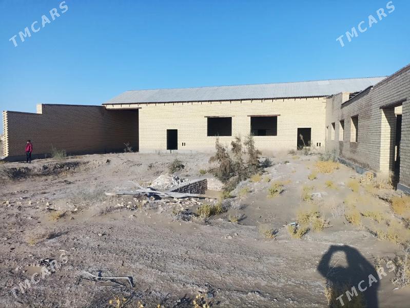 satlyk jay - Saýat - img 1