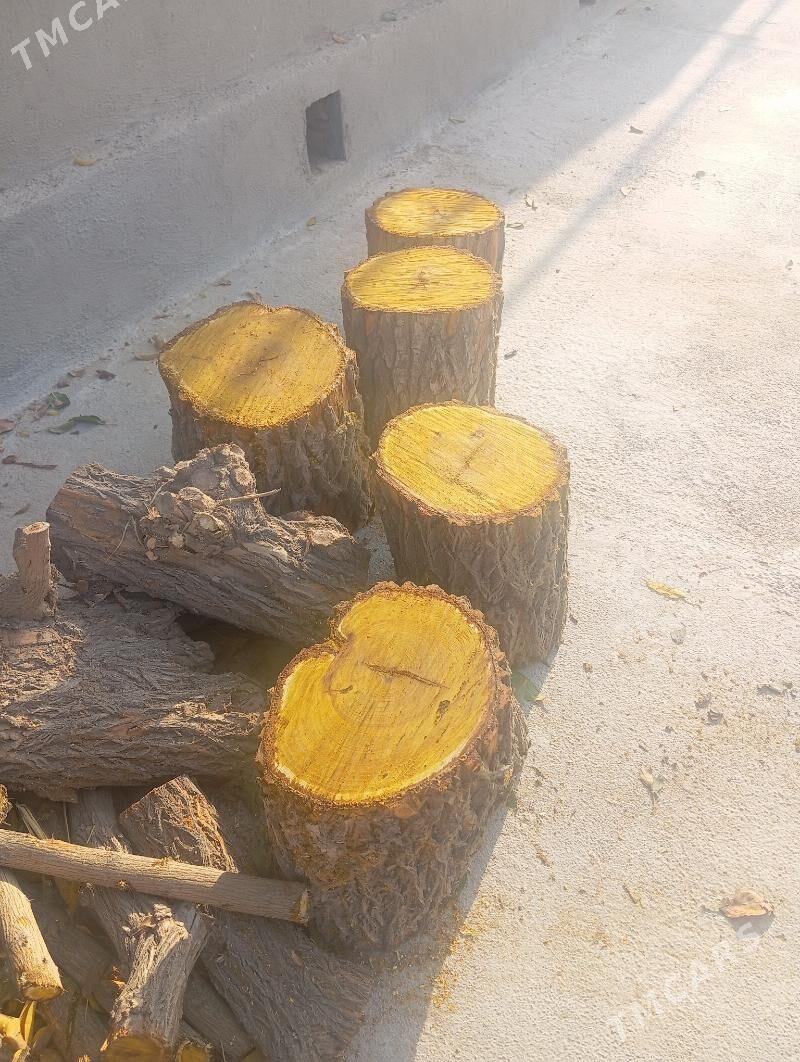 çapgylyk toňňe - Байрамали - img 2