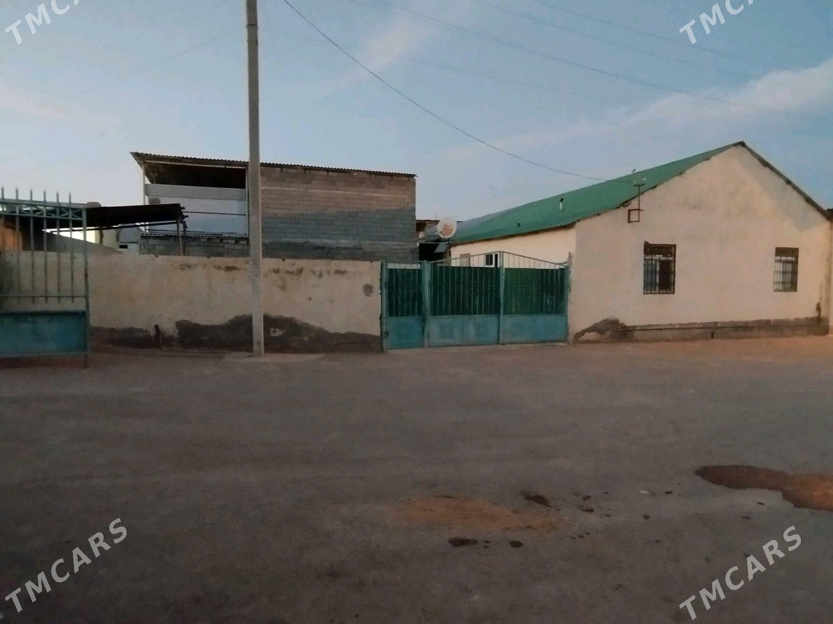 Coganly plan cay - Çoganly - img 1