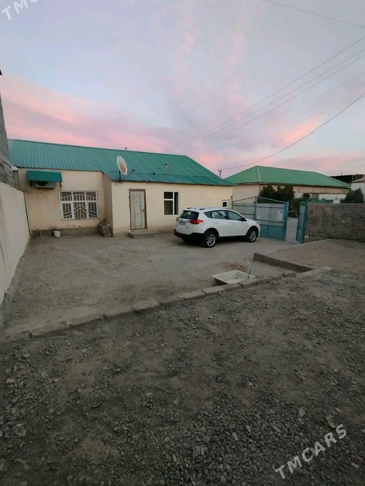 Coganly plan cay - Çoganly - img 2