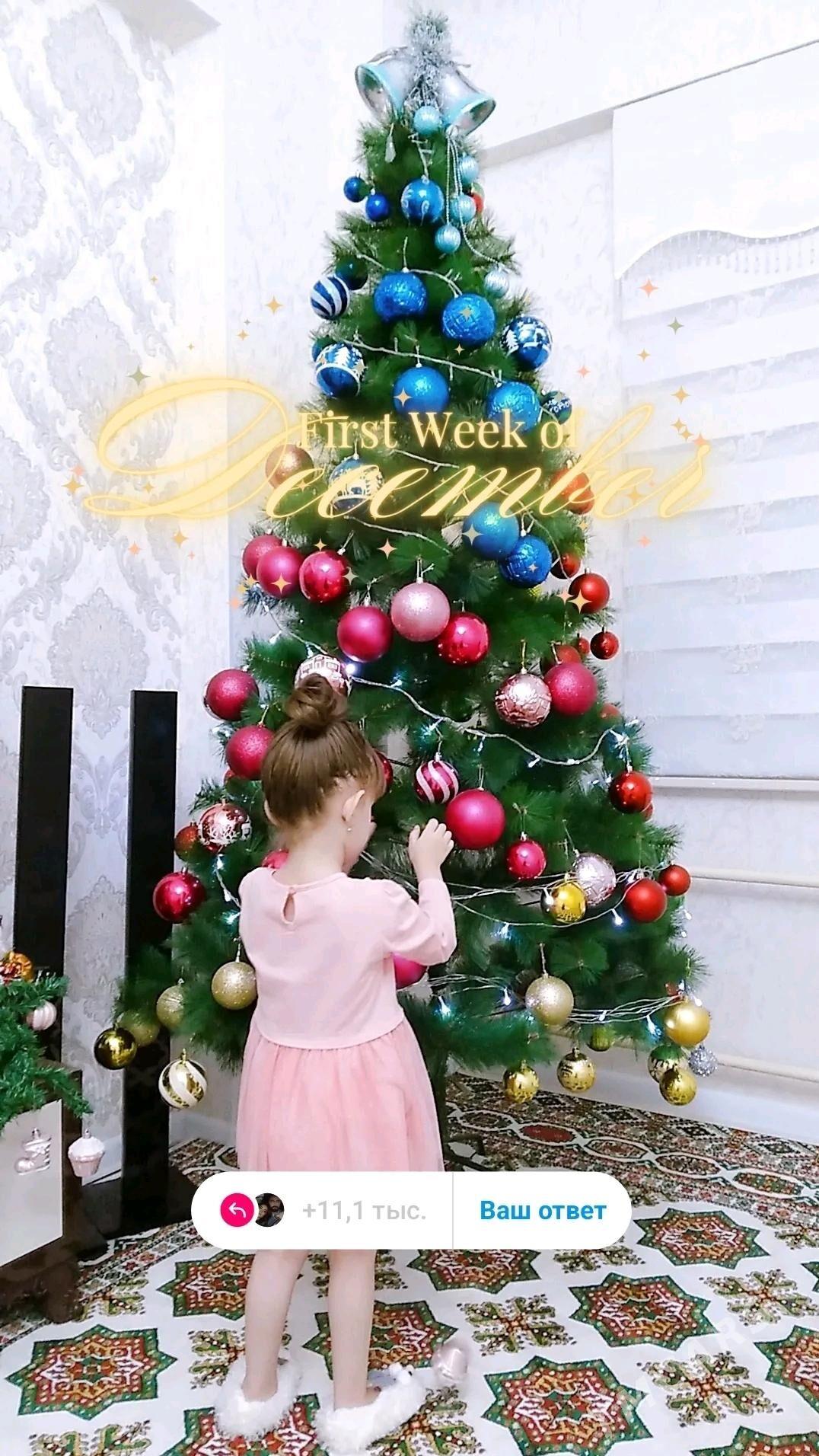 yolka - Aşgabat - img 1