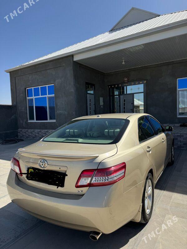 Plan jay - Мары - img 10