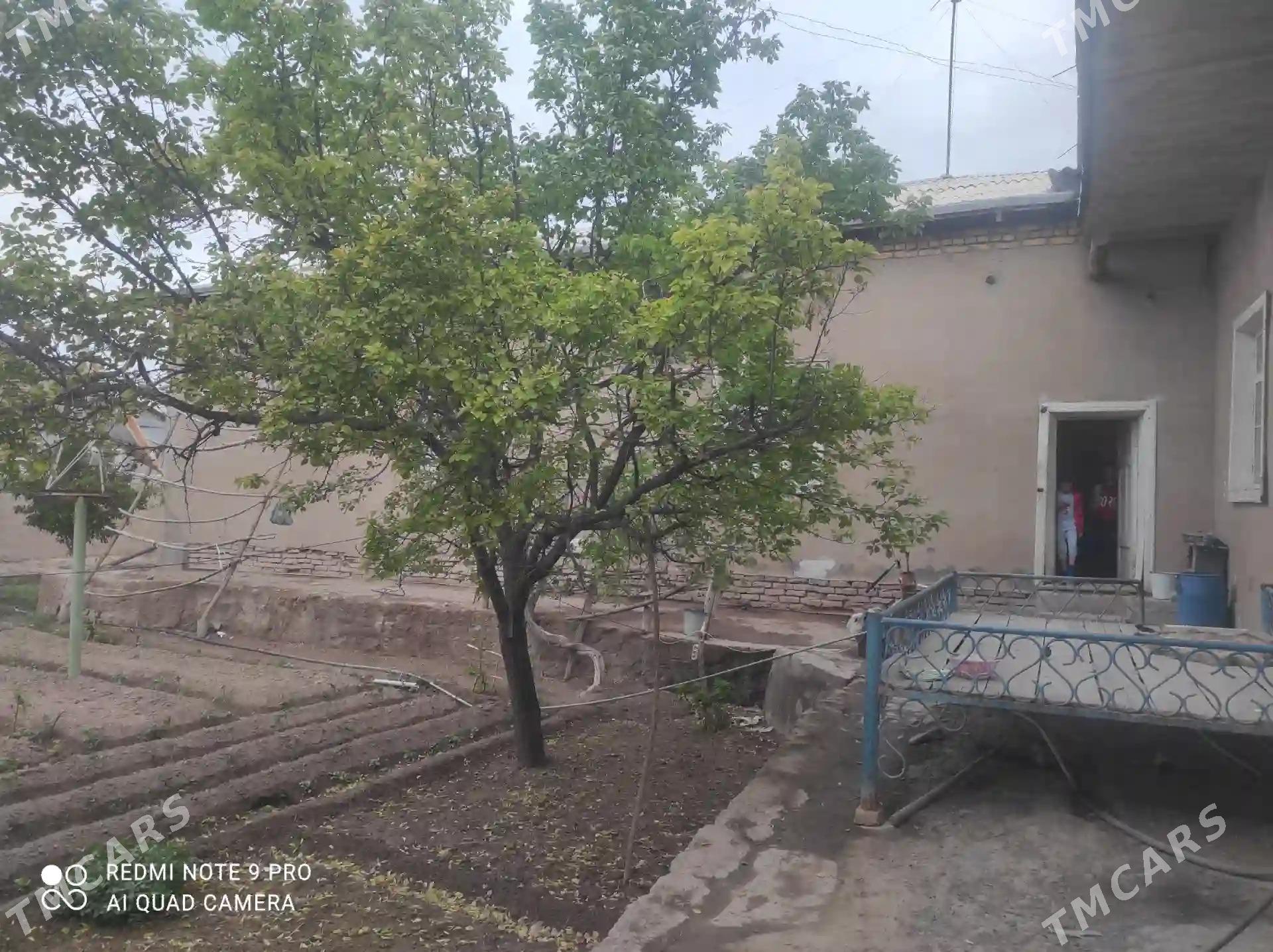 Satlyk Plan jaý - Гурбансолтан Едже - img 3