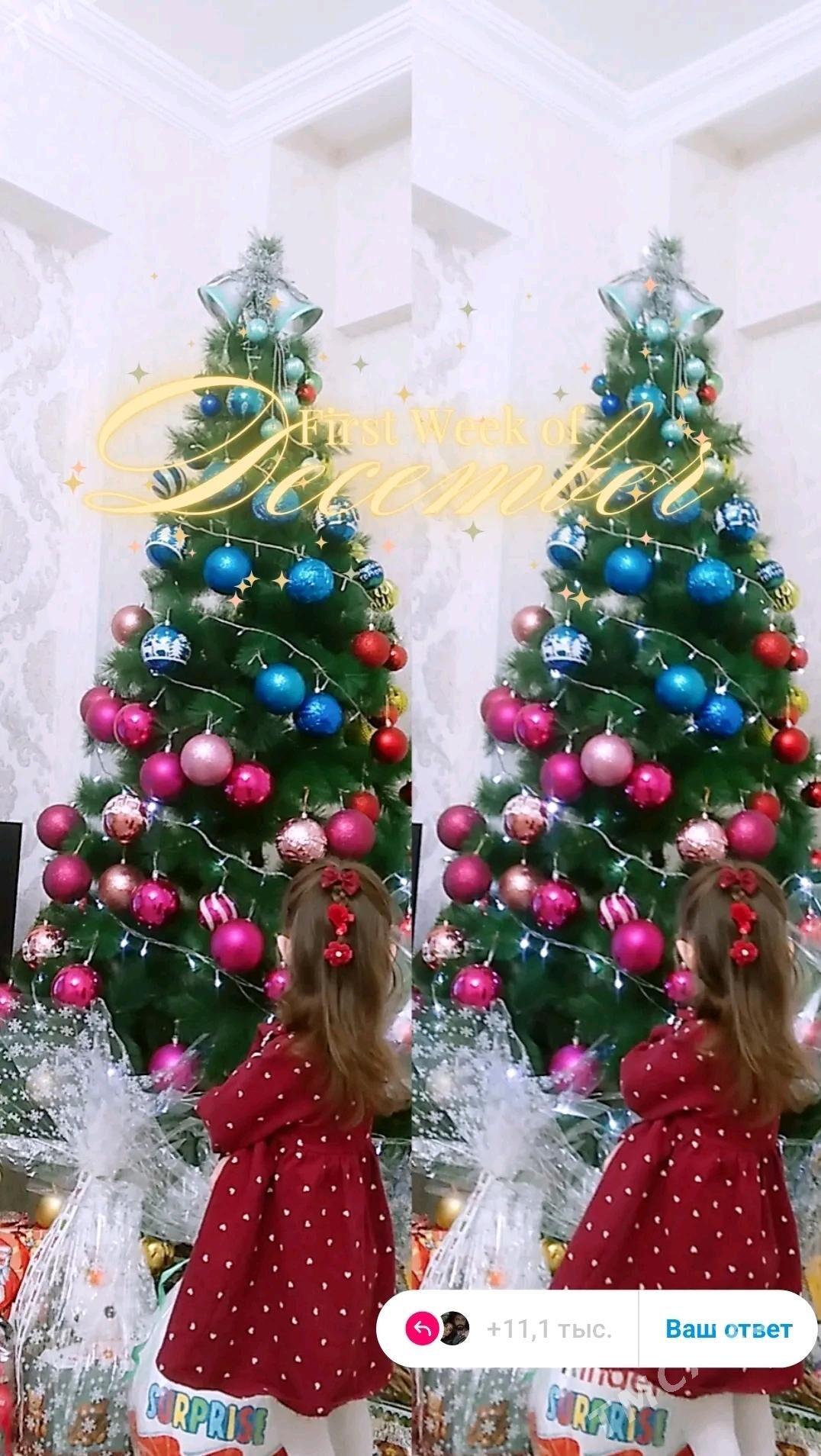 yolka - Aşgabat - img 2