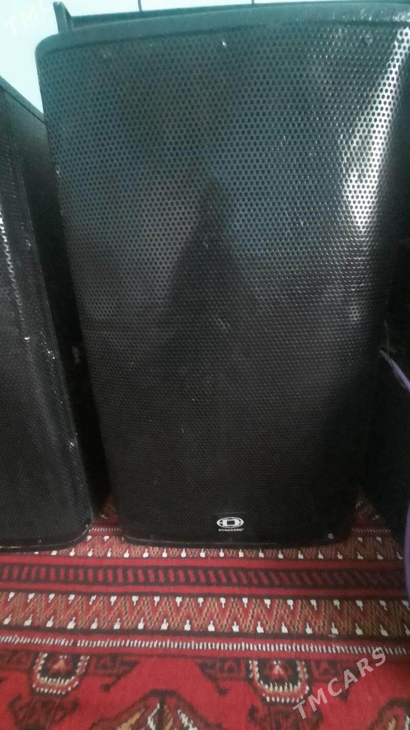 toy kalonka - Daşoguz - img 9