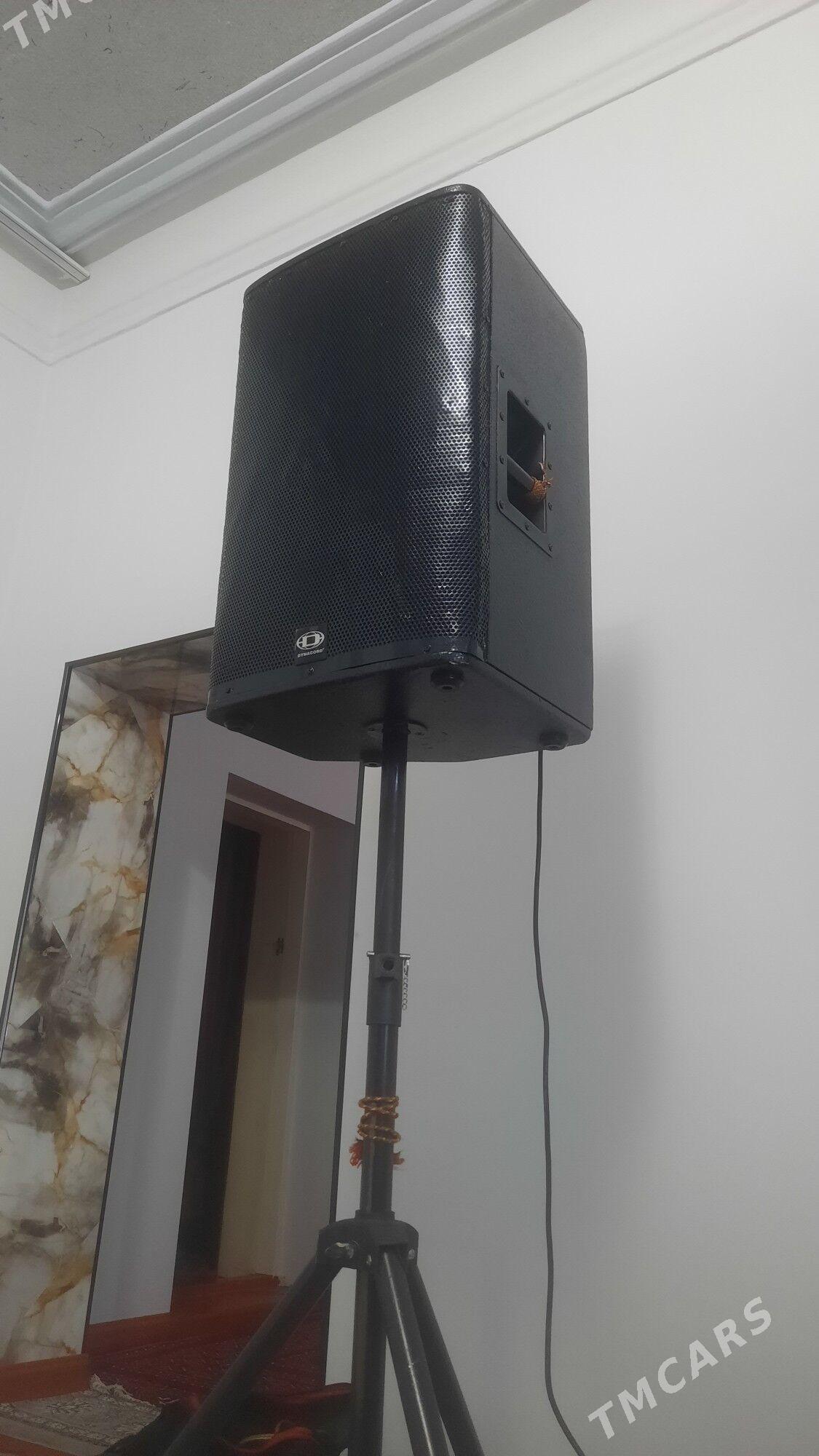 toy kalonka - Daşoguz - img 1