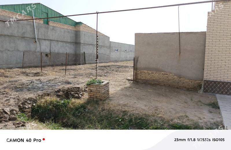 Mellek - Туркменабат - img 2