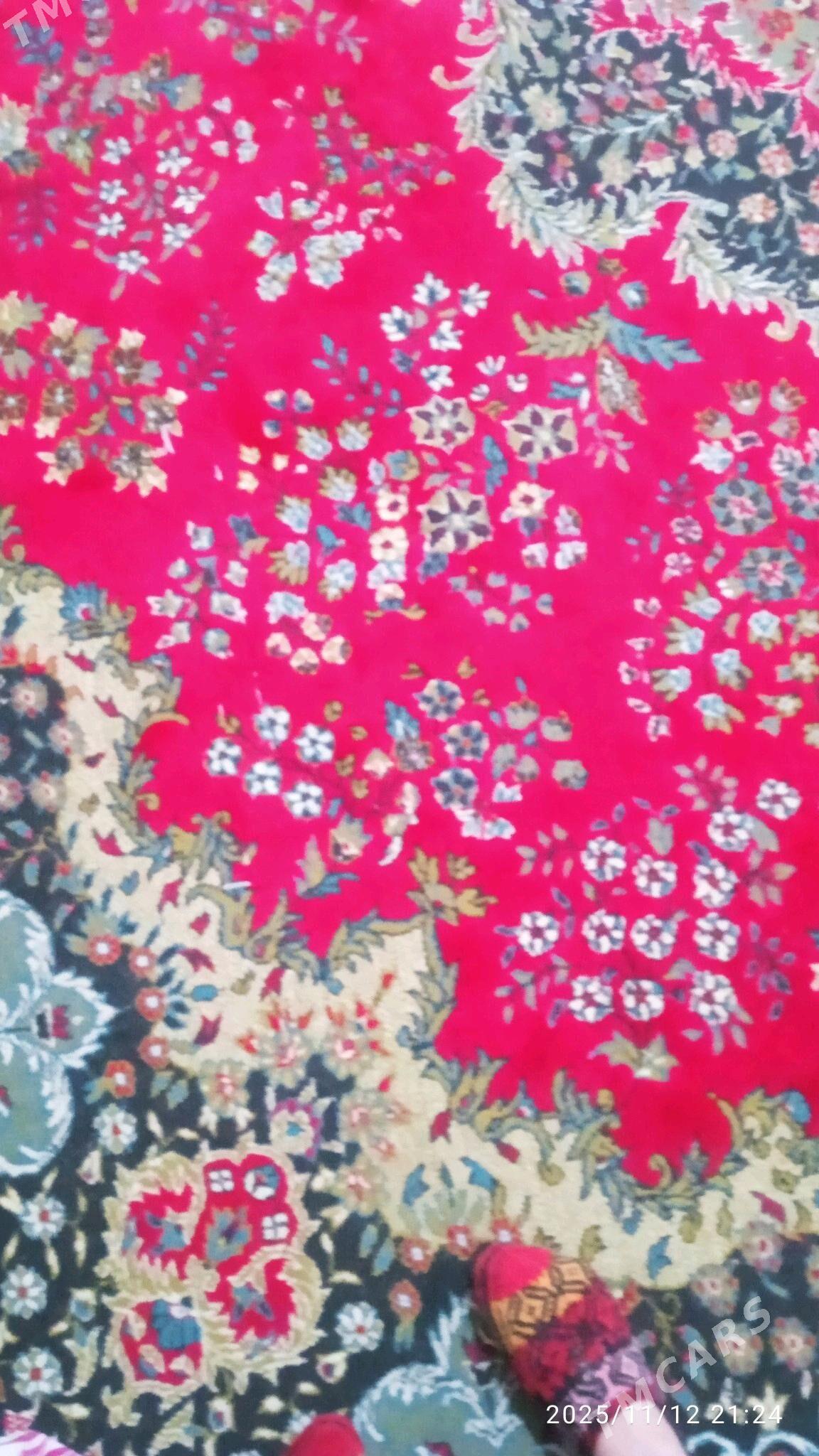 haly - Daşoguz - img 2