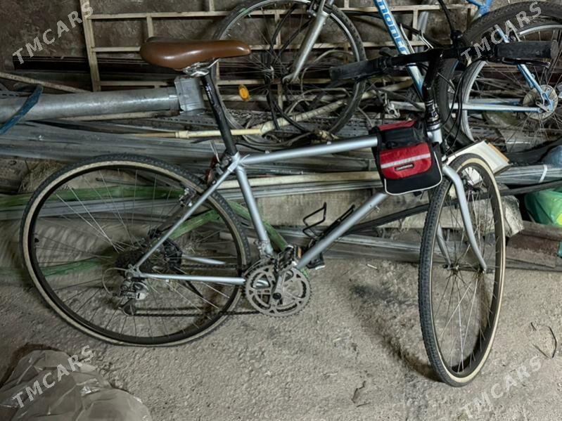 Tigir yaponski - Aşgabat - img 2