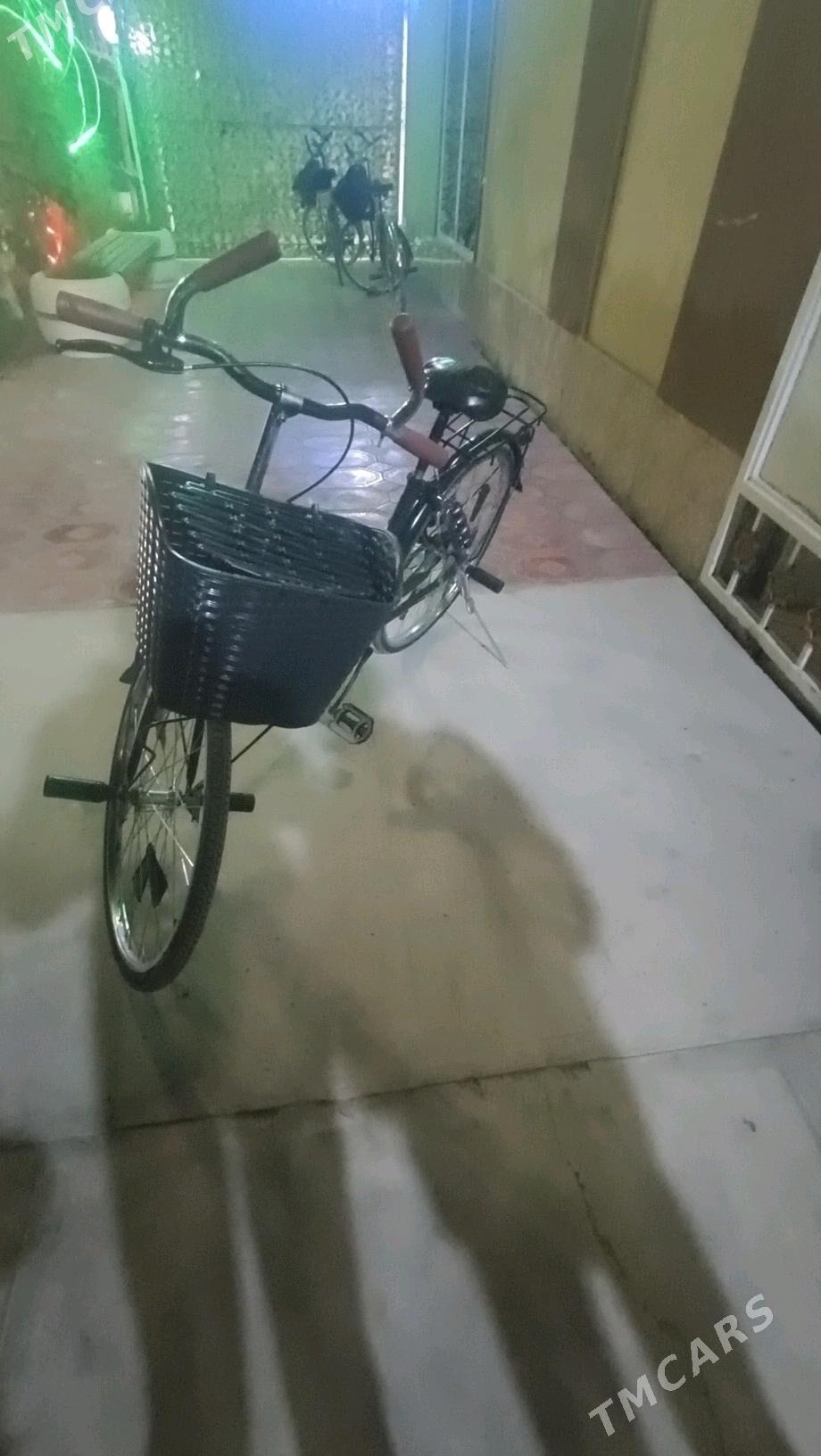 26-lyk Welesipet - Сакарчага - img 2