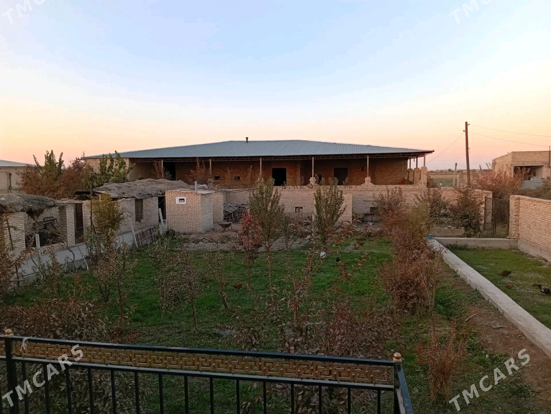 Plan jaý - Чарджоу - img 8