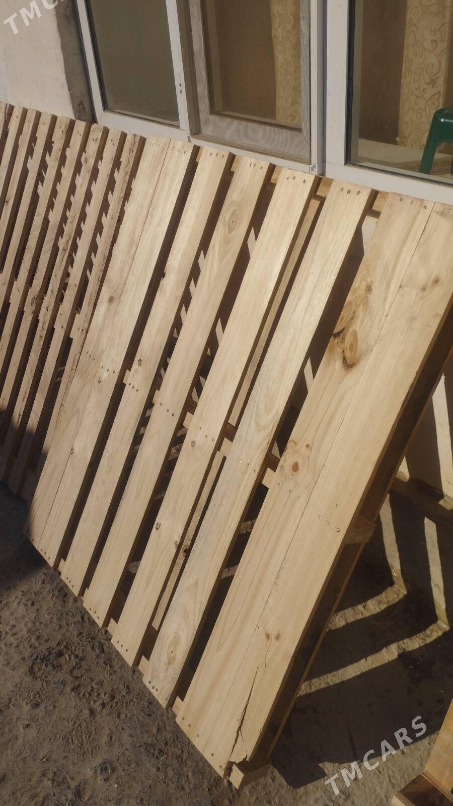 Padom agac - Büzmeýin - img 3