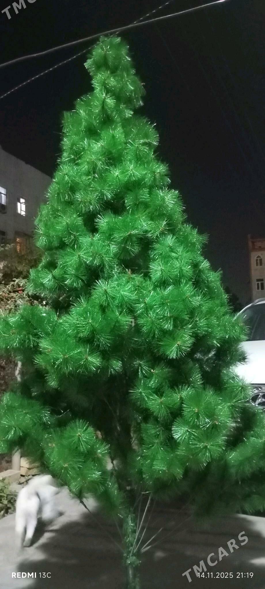 Ýolka (arça) - Мары - img 2