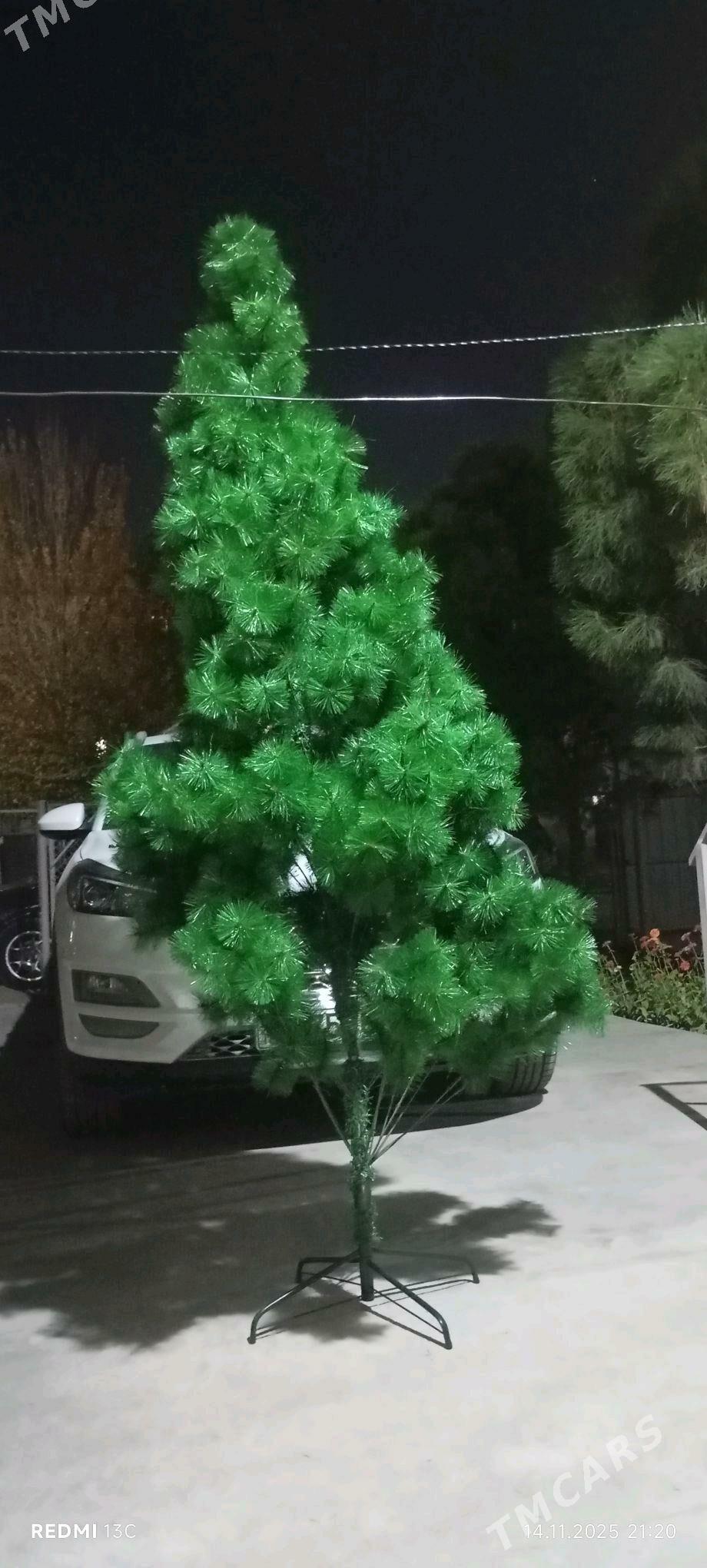 Ýolka (arça) - Мары - img 1