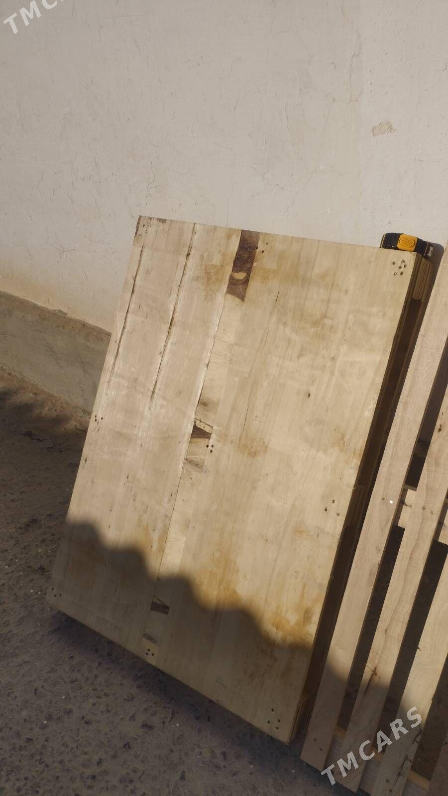 Padom agac - Büzmeýin - img 4