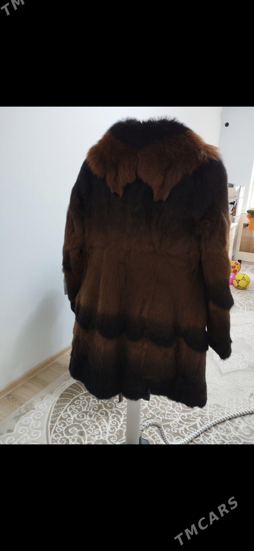 palto - 10 mkr - img 2