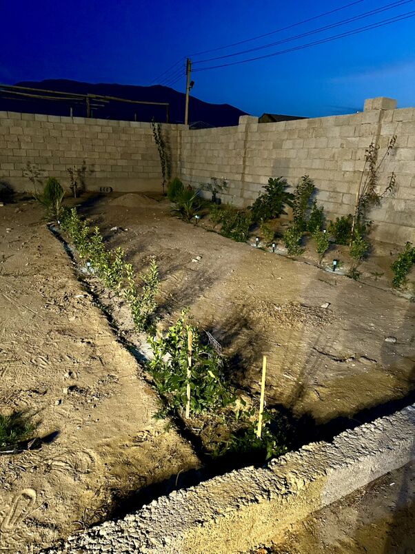 daça дача dacha - Balkanabat - img 4