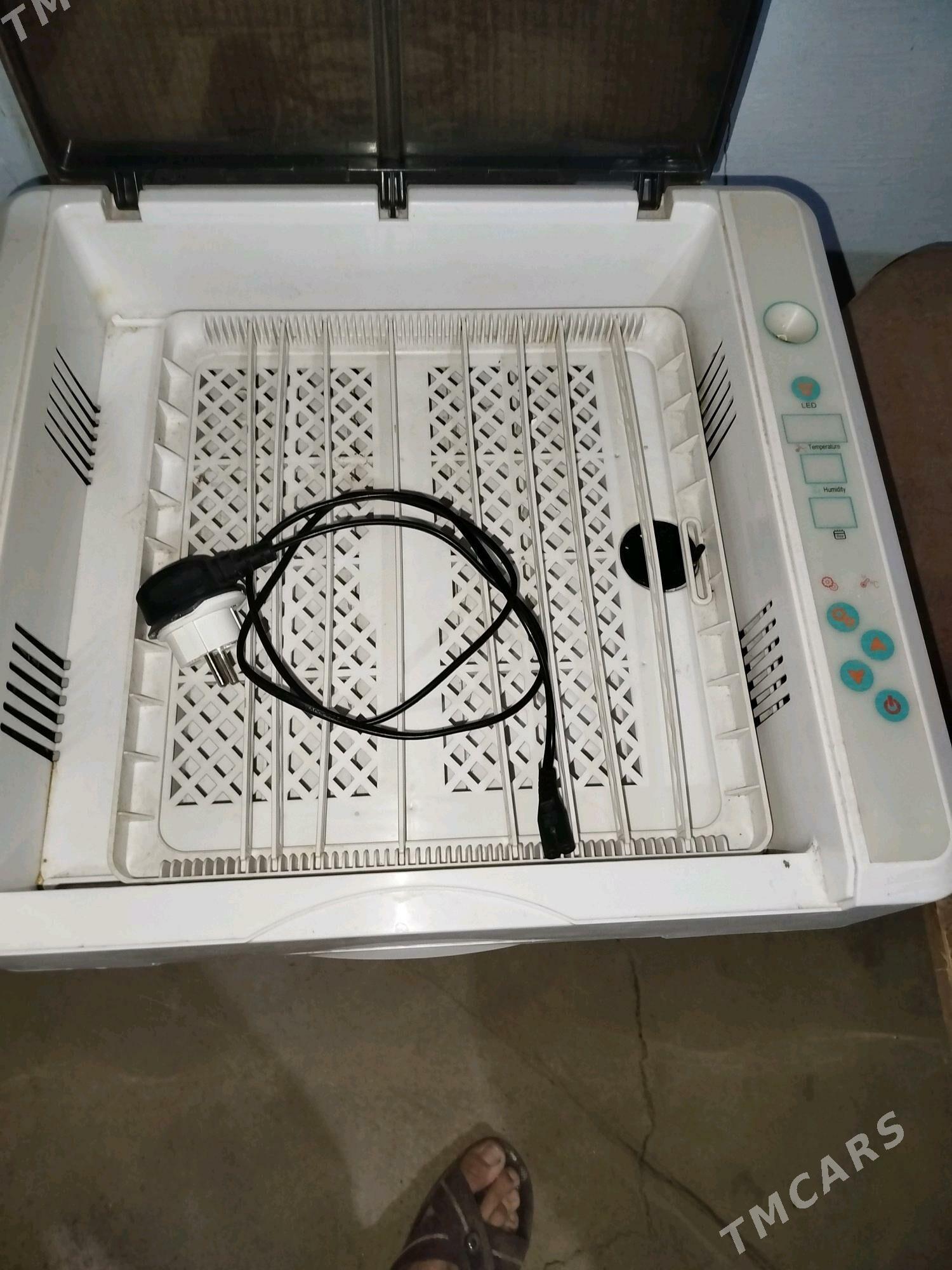 инкубатор - Мары - img 1