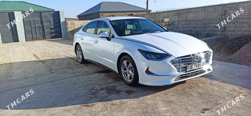 waditil - Ашхабад - img 3