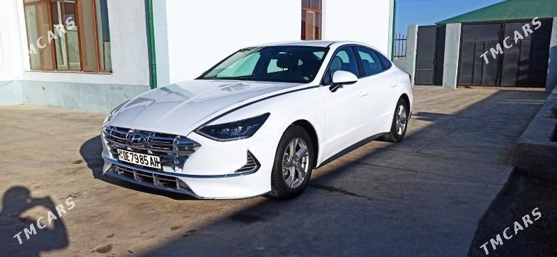 waditil - Ашхабад - img 2