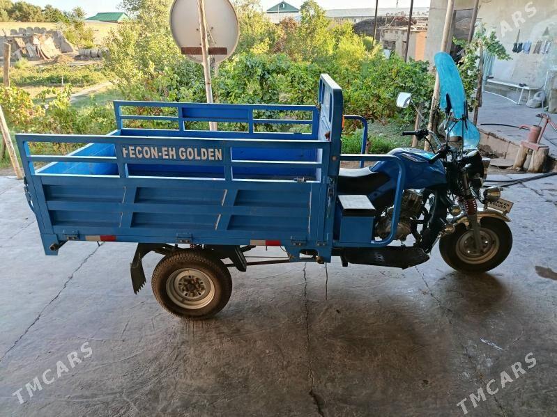 Fekon FK200-14G 2025 - 30 000 TMT - Сакар - img 2