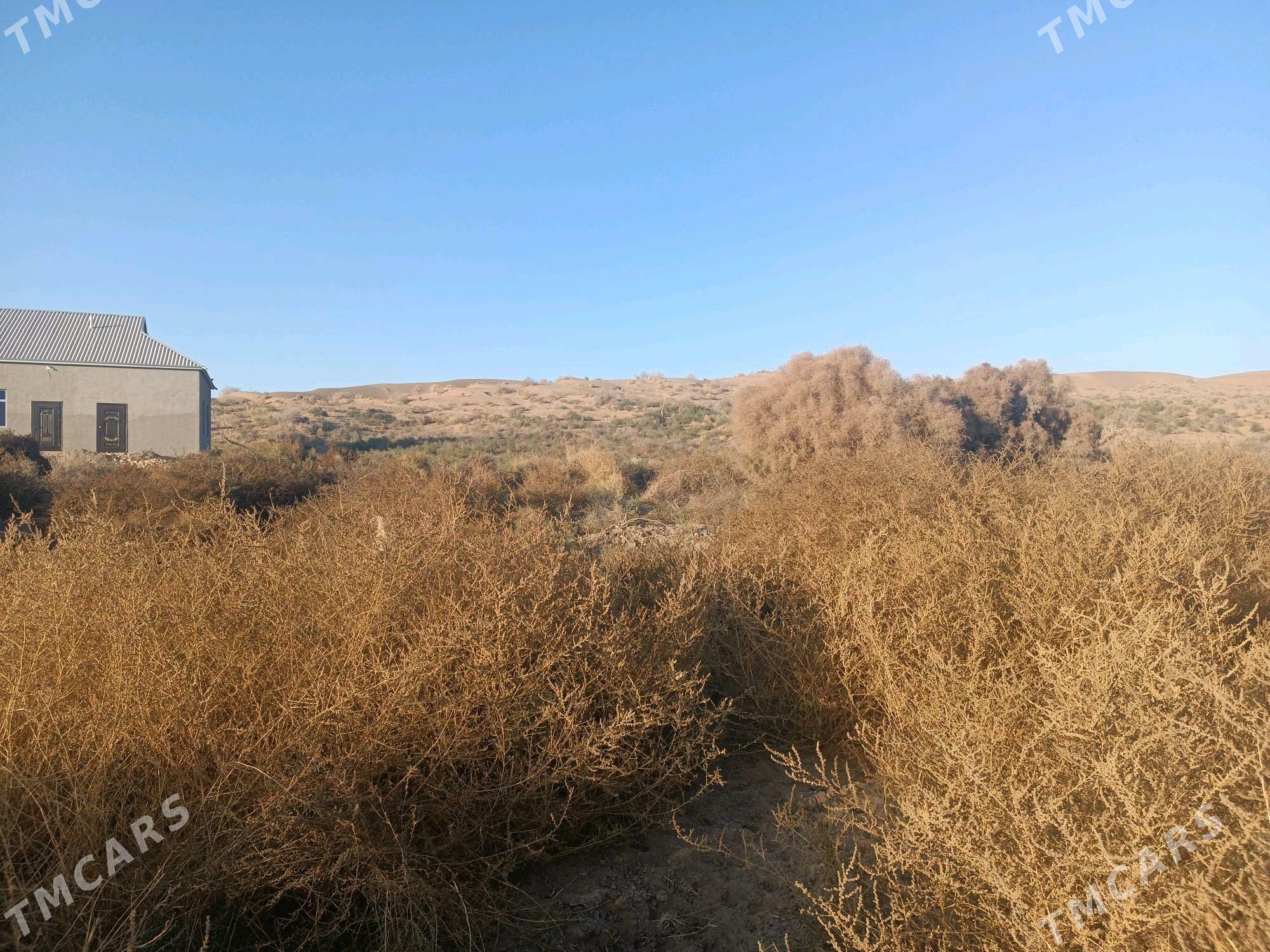 mellek yer 12sotyk boş yer - Ёлётен - img 4