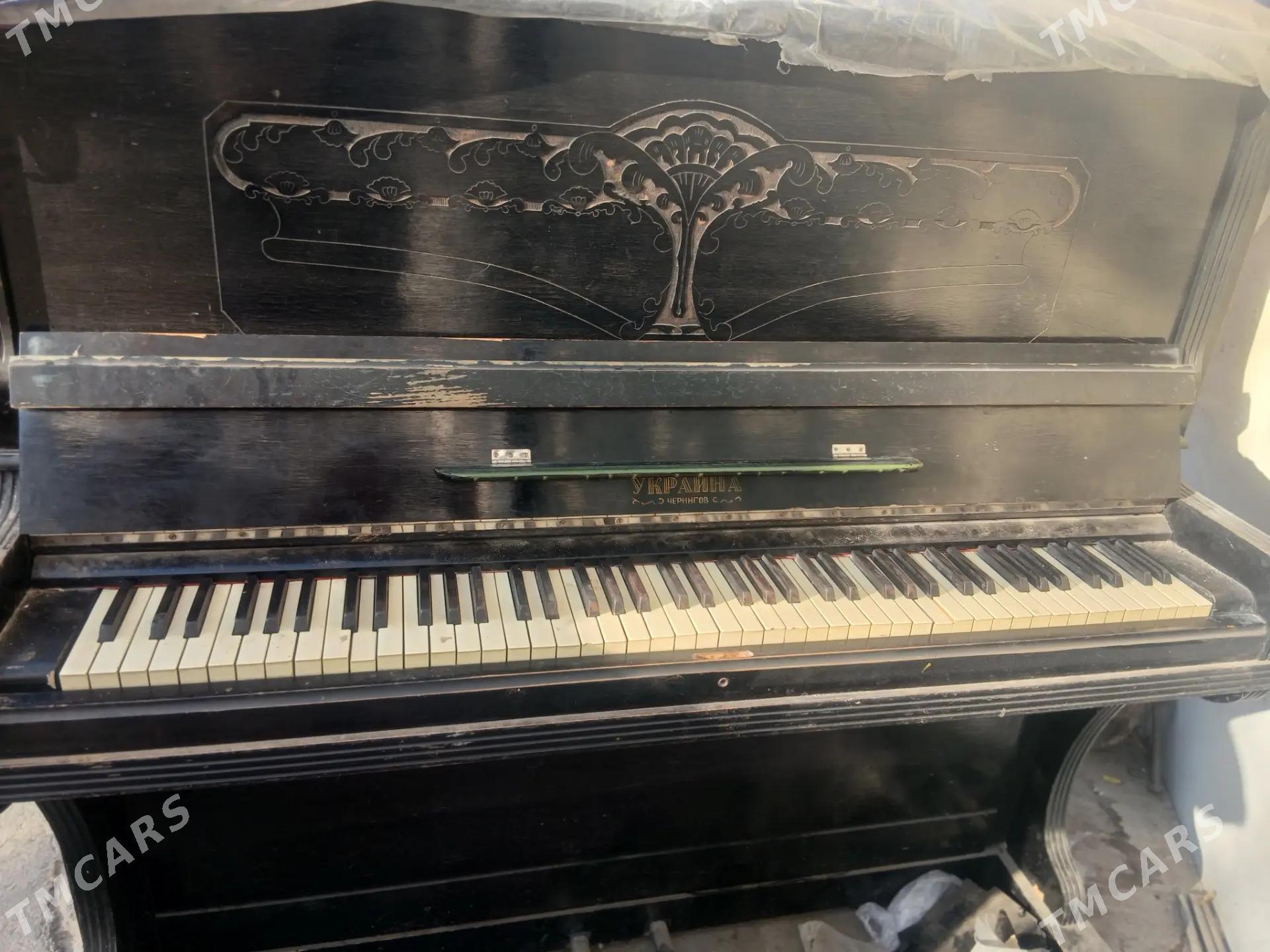 Piyanina - Aşgabat - img 2