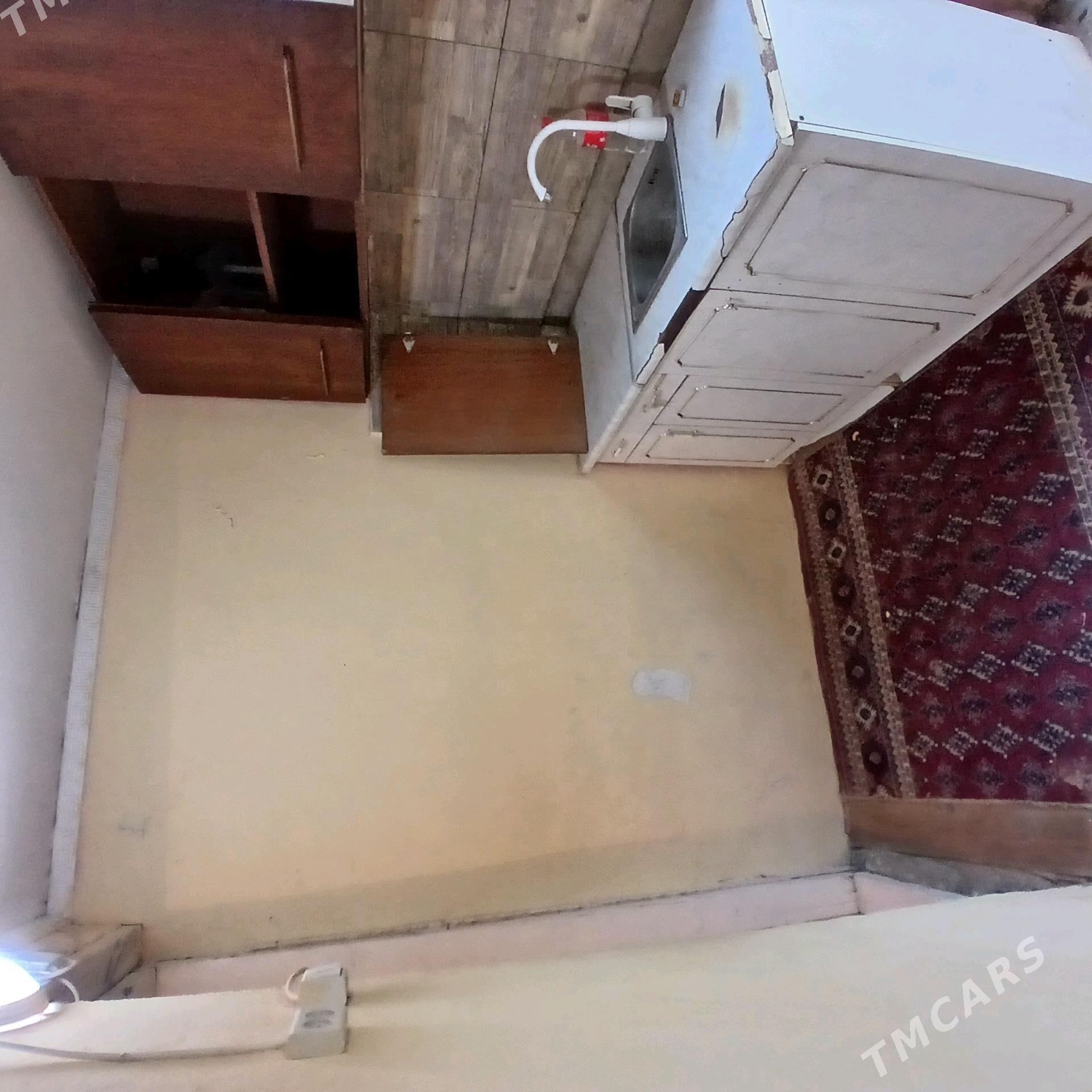 Bagyr mirewe - Багир - img 3