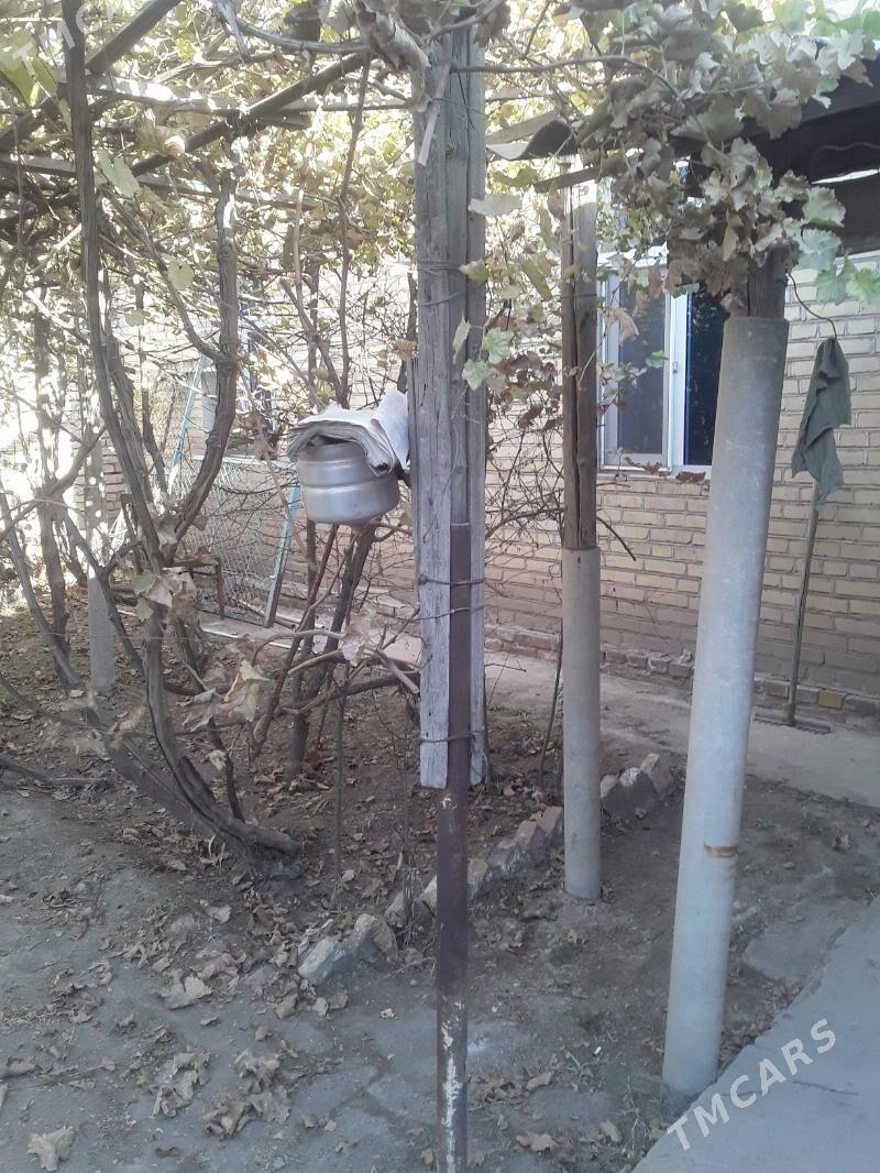 Kerki şah ortasy Satlyk howly - Kerki - img 1