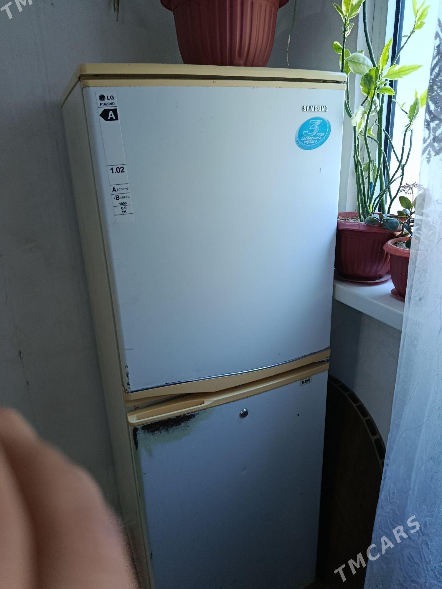 holadinik - Türkmenbaşy - img 2