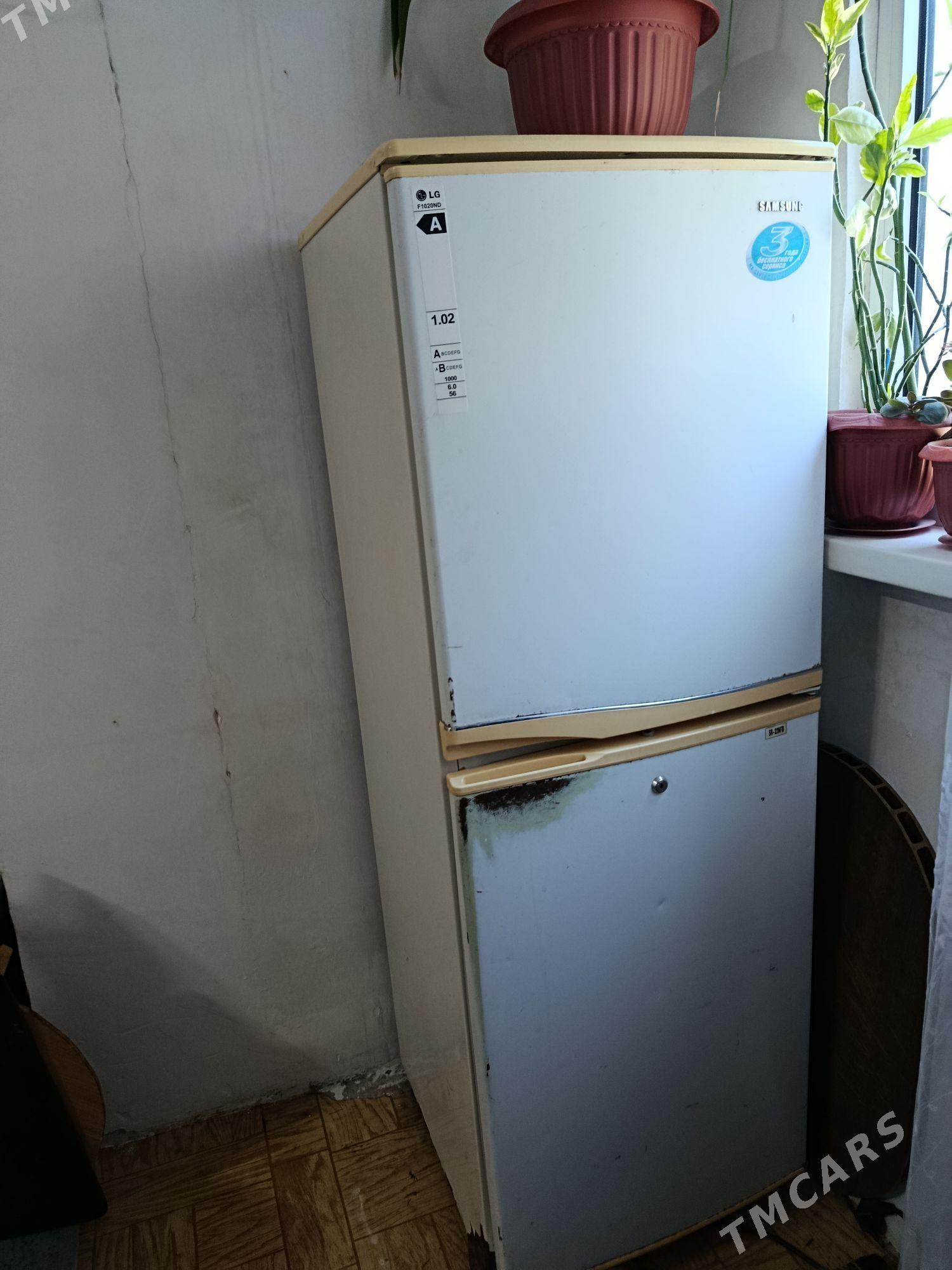 holadinik - Türkmenbaşy - img 1