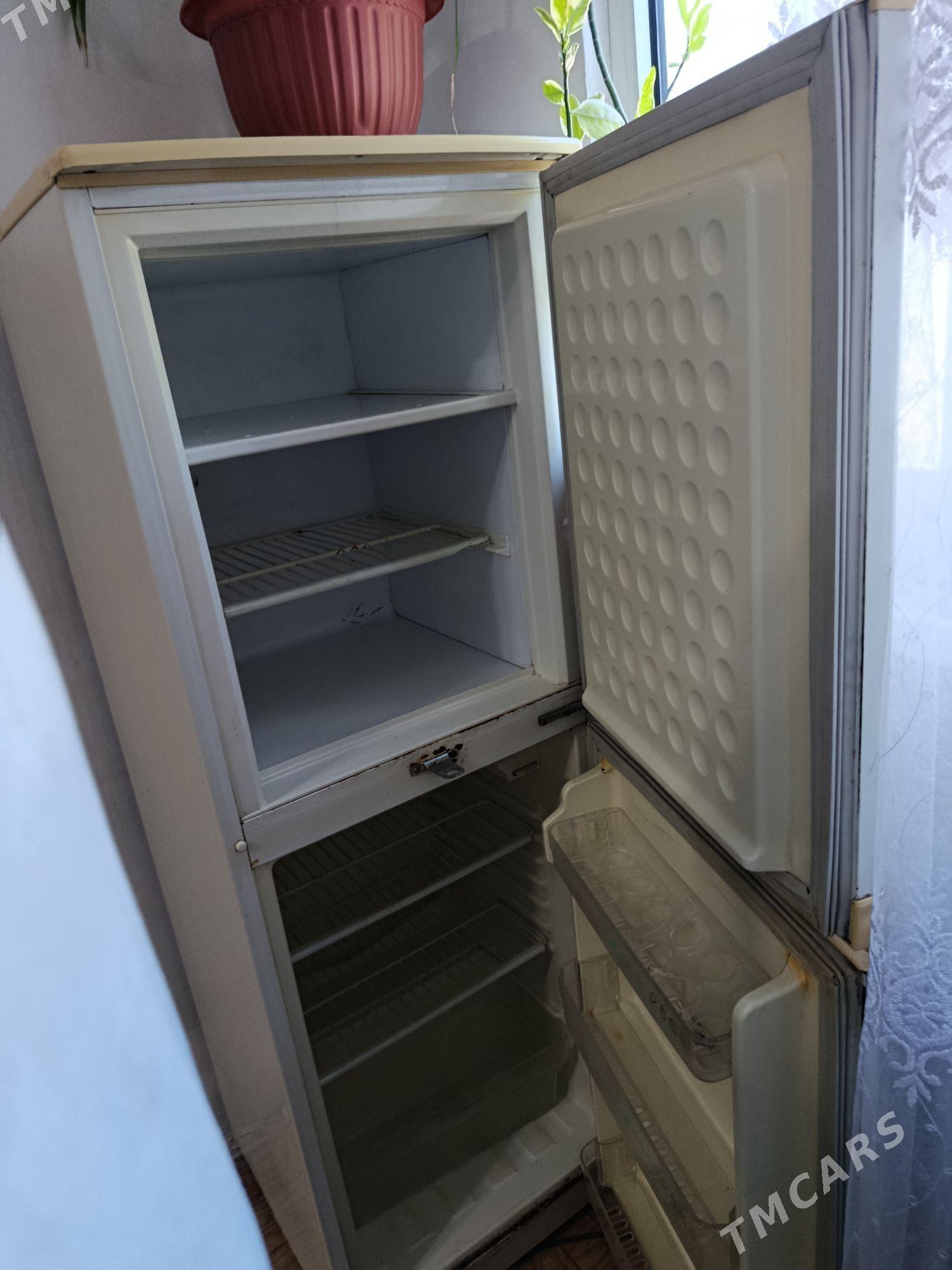 holadinik - Türkmenbaşy - img 5