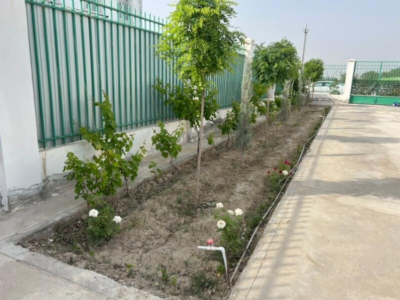 KOTEJ ARZAN EYESI - Ашхабад - img 7