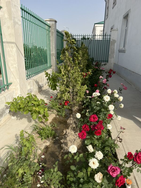 KOTEJ ARZAN EYESI - Ашхабад - img 5