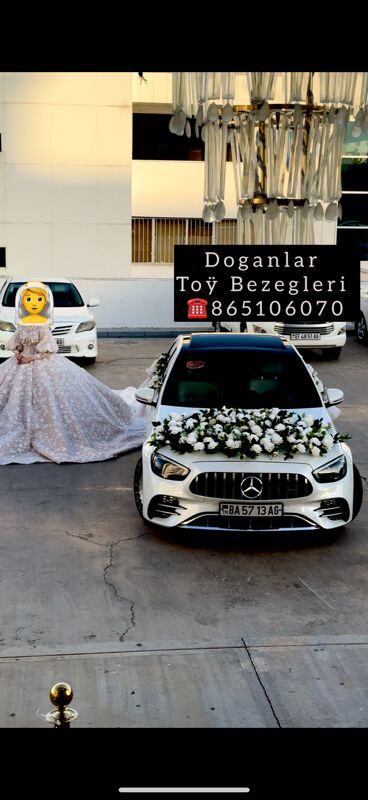 Genanjy Masyn Bezeg - Багир - img 3