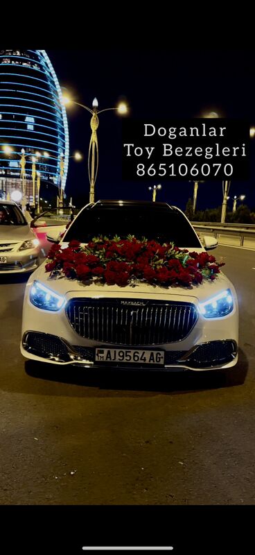 Genanjy Masyn Bezeg - Багир - img 2