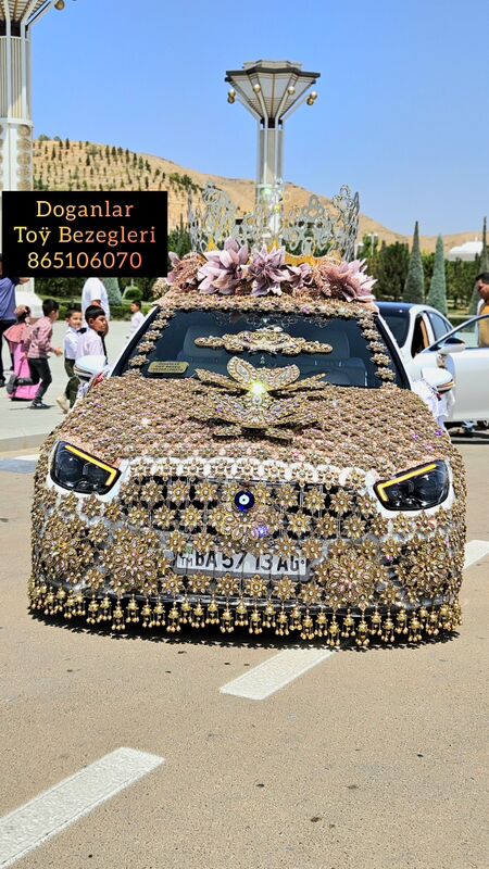 Genanjy Masyn Bezeg - Багир - img 1