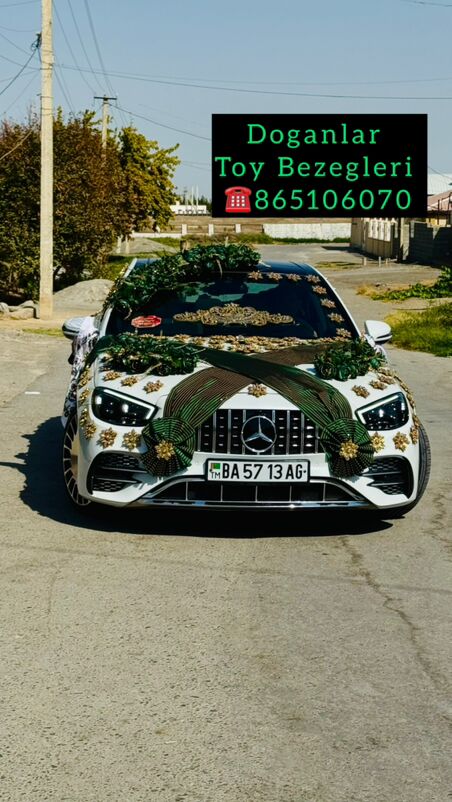 Genanjy Masyn Bezeg - Багир - img 6