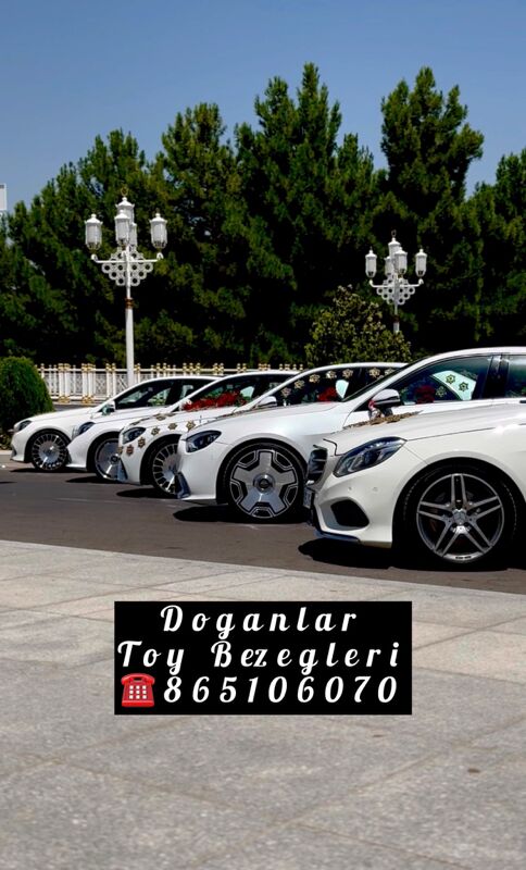 Genanjy Masyn Bezeg - Багир - img 8