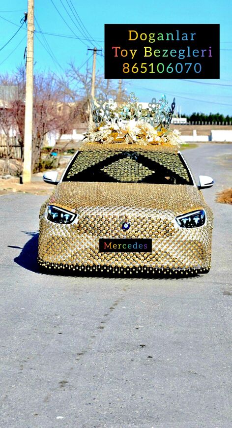 Genanjy Masyn Bezeg - Багир - img 9