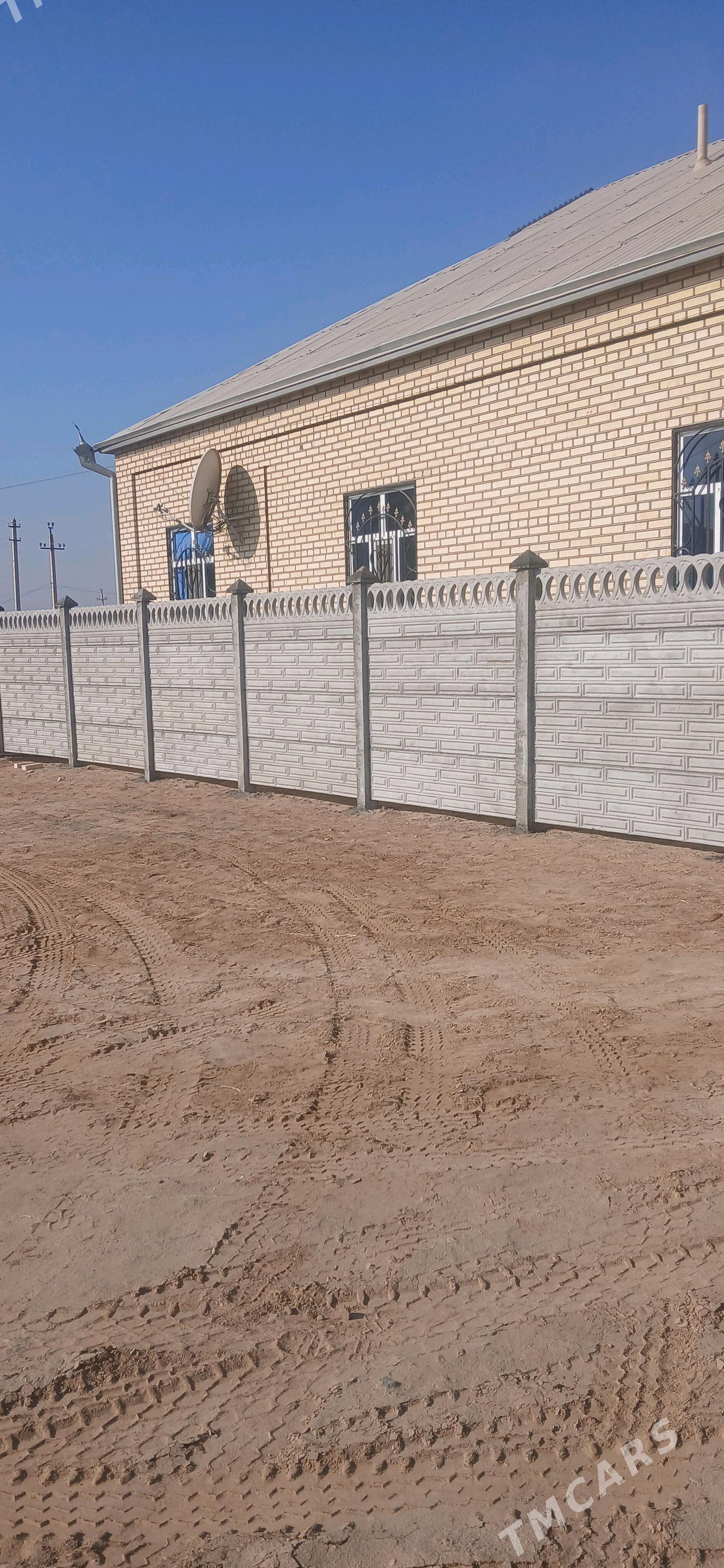 beton zabor - Mary - img 6