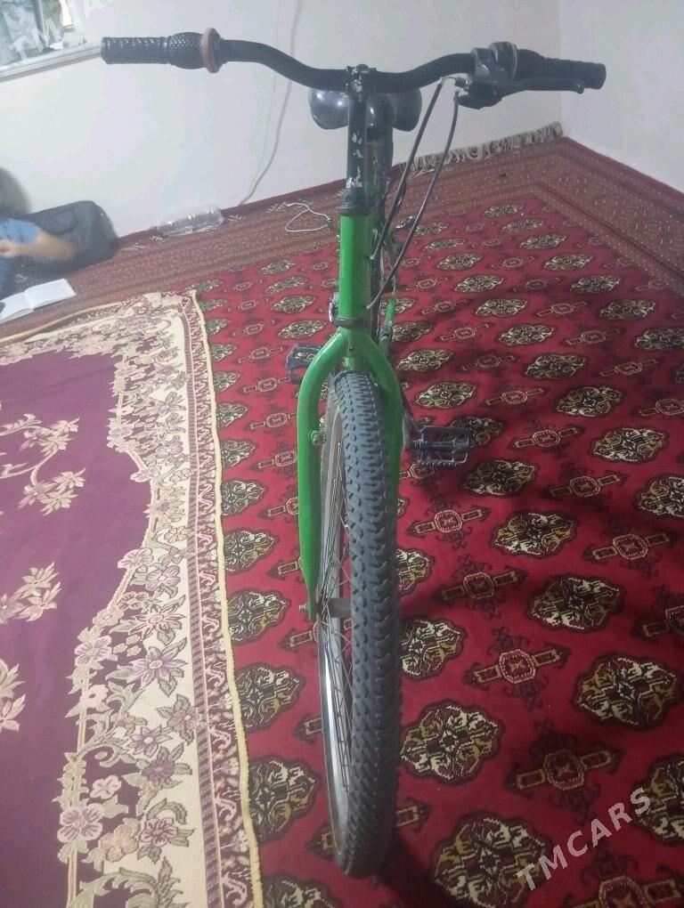 Welik - Jebel - img 2