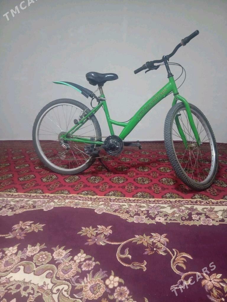 Welik - Jebel - img 3