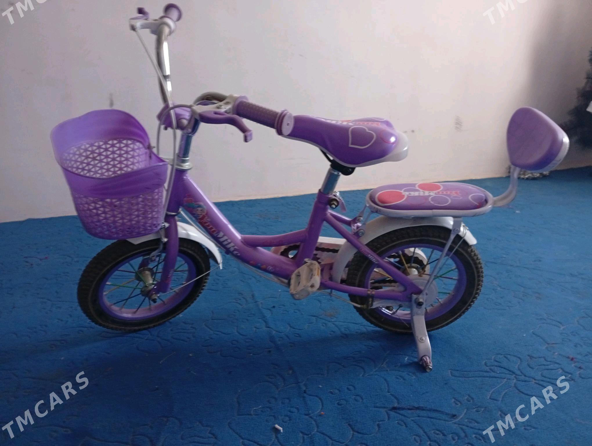 kici tigir - Köýtendag - img 2