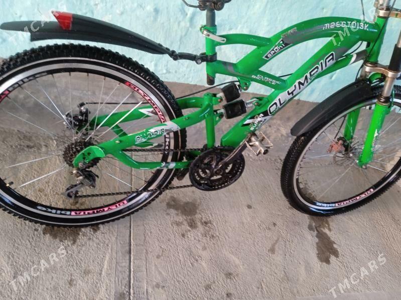 tigir olimpiya - Бахарден - img 1