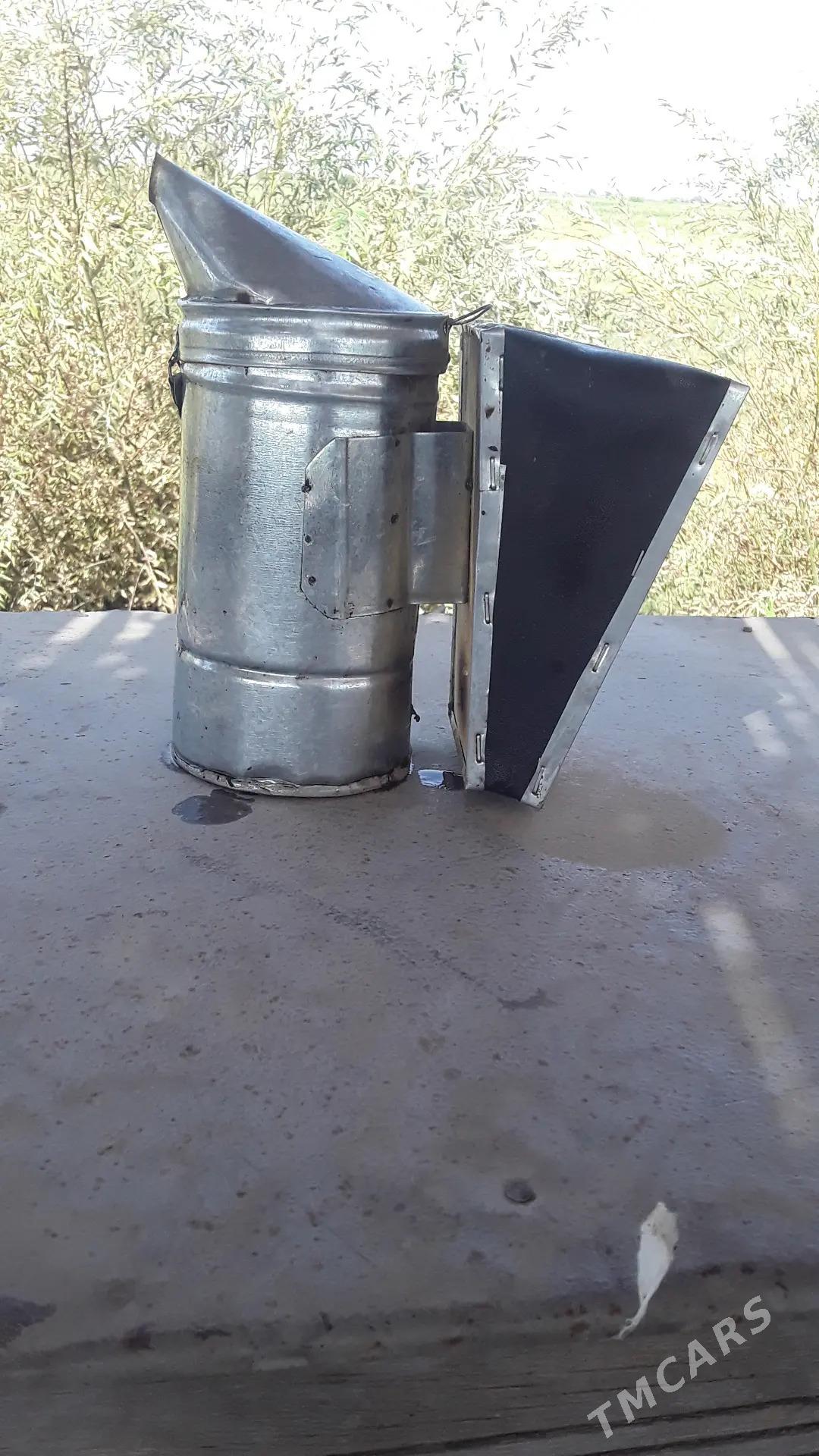 Bal ary satlyk - Türkmengala - img 10