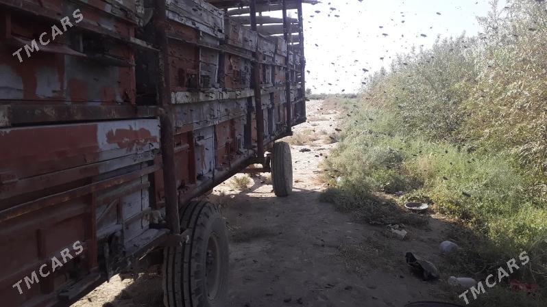 Bal ary satlyk - Türkmengala - img 5