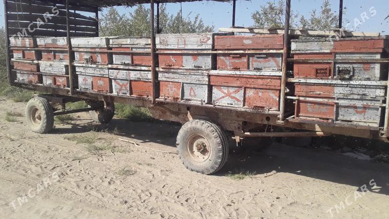 Bal ary satlyk - Türkmengala - img 2