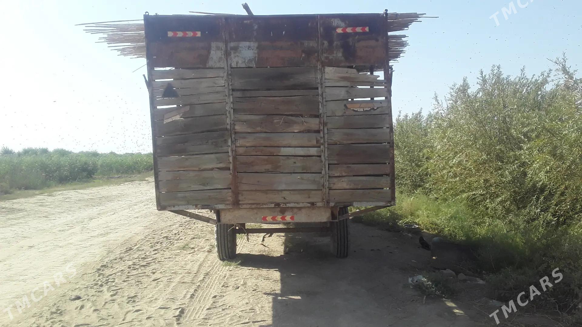 Bal ary satlyk - Türkmengala - img 7