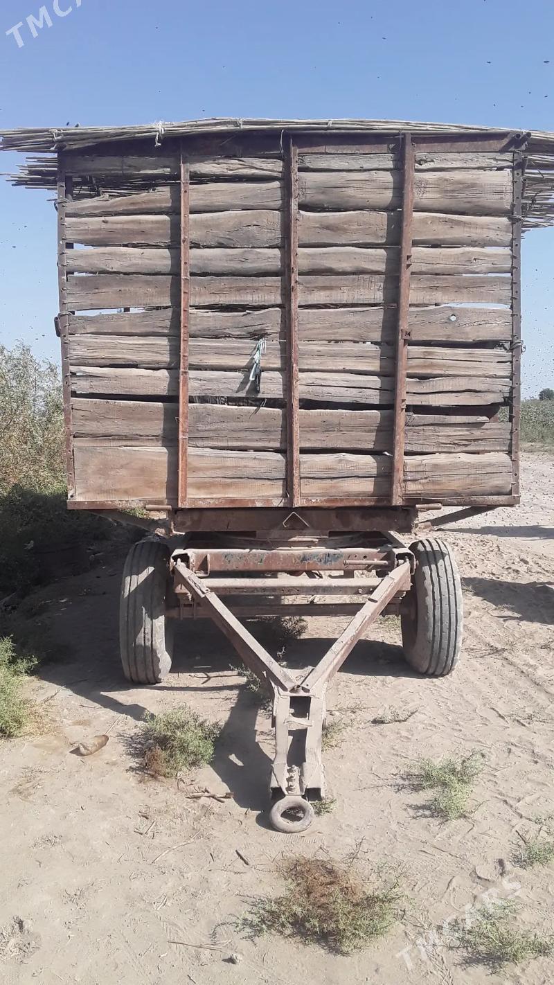 Bal ary satlyk - Türkmengala - img 6